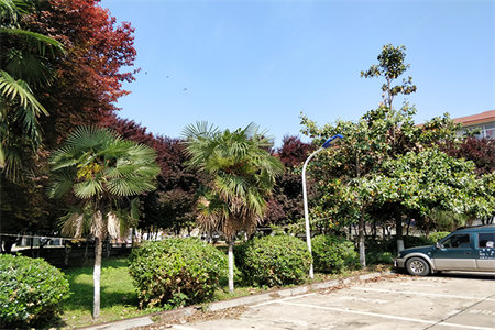 南湖华商旁，豪装顶跃，拎包入住